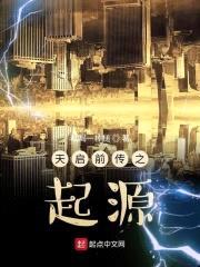 天启前传之起源封面