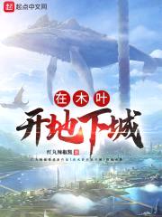 在木叶开地下城封面