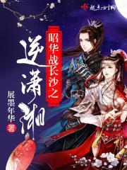 昭月离封面