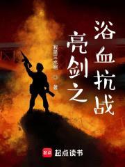 亮剑之从永不磨灭的番号开始封面