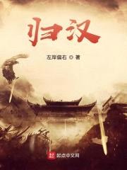 归汉封面