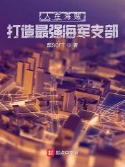 人在海贼，打造最强海军支部封面