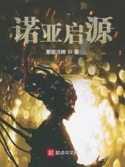 诺亚启源封面