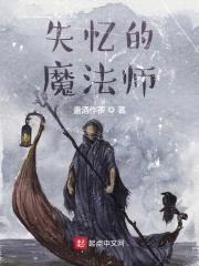 失忆的魔法师封面