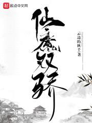 仙魔双骄封面