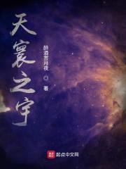 天寰之宇封面