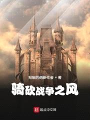 骑砍战争之风封面