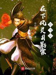 在下风灵月影宗厉飞尘封面
