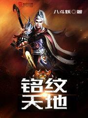 铭纹天地封面
