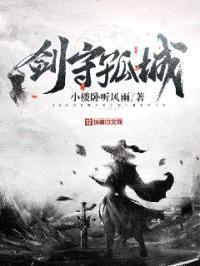 剑守孤城封面