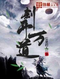 剑开万道封面
