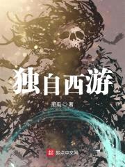 独自西游封面