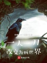 一人一刀，改变海贼世界封面