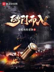 破门而入封面