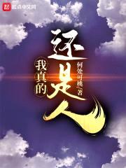 非正常调查员封面