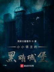 小小领主的黑暗城堡封面