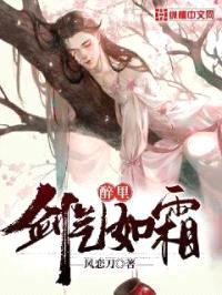醉里，剑气如霜封面