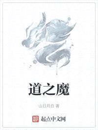 武道极限封面