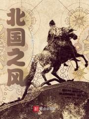 北国之风封面