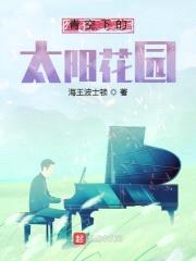 食神的太阳花园封面