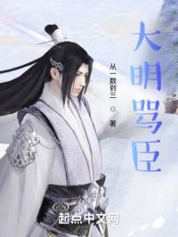 大明骂臣封面