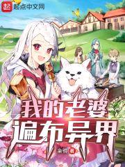 我的老婆遍布异界封面