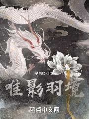 唯影羽境封面