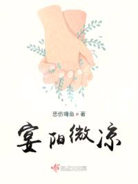 宴阳微凉封面