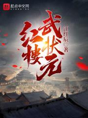 红楼武状元封面