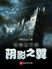 光明之下的阴影之翼封面