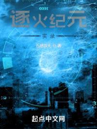 崩坏逐火纪元实录封面