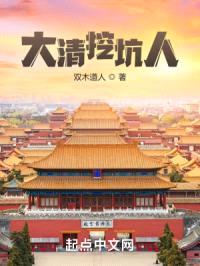 大清挖坑人封面