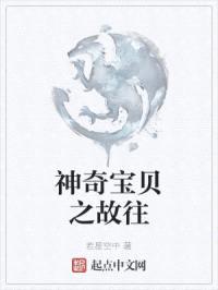 神奇宝贝之故往封面