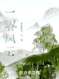 一界风云封面