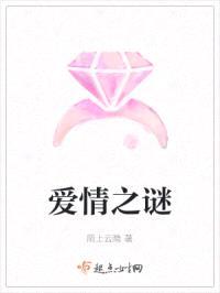 爱情之谜封面