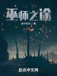 巫师之途封面