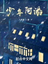 少年阿潘封面
