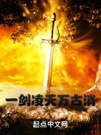 一剑凌天万古消封面