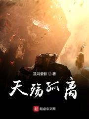 天殇孤离封面