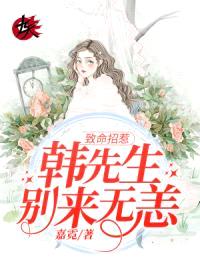 致命招惹：韩先生，别来无恙封面