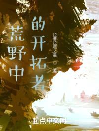 荒野中的开拓者封面