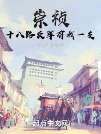 崇祯：十八路反军有我一支封面
