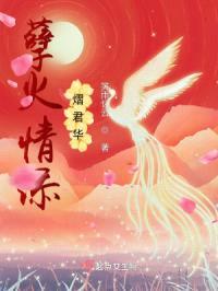 孽火情添熠君华封面