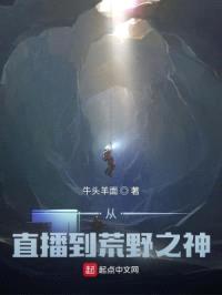 从直播到荒野之神封面