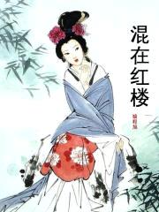 混在红楼封面