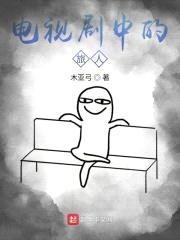 电视剧中的旅人封面