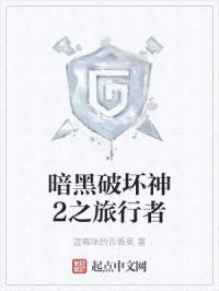 暗黑破坏神2之旅行者封面