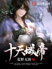 十天域帝封面