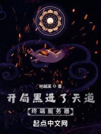 开局黑进了天道终端服务器封面