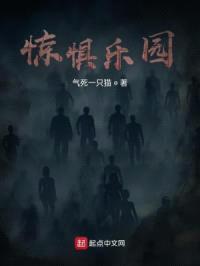 惊惧乐园封面